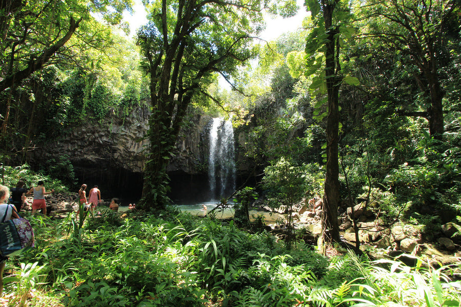 Best Things to Do in Maui Blog