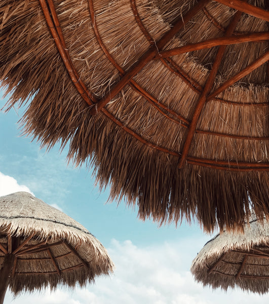 Your Cabo Travel Guide